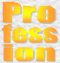 Profession